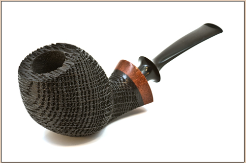 picture: Reiner Thilo Bog Oak