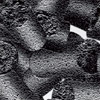picture: Vauen Aktivkohlefilter picture: Vauen Aktivkohlefilter