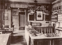 Niederlassung Wien 1907