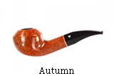 BC Autumn