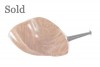 Wallenstein Scallop "Moonfish" smooth oFi.